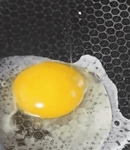 Honeycam-2026-10-01-21-00-17.gif