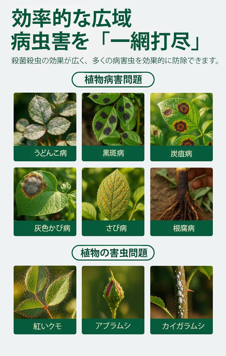 詳情頁_10.jpg