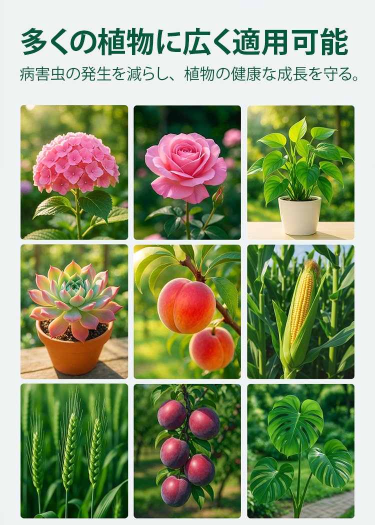 詳情頁_13.jpg