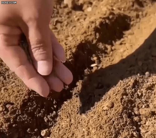 Honeycam 2025-09-19 10-00-58.gif