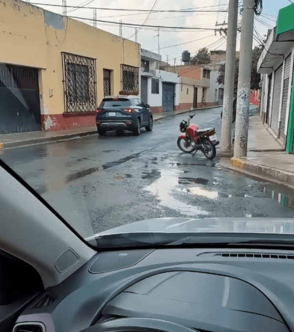 Honeycam 2026-09-29 17-09-53.gif