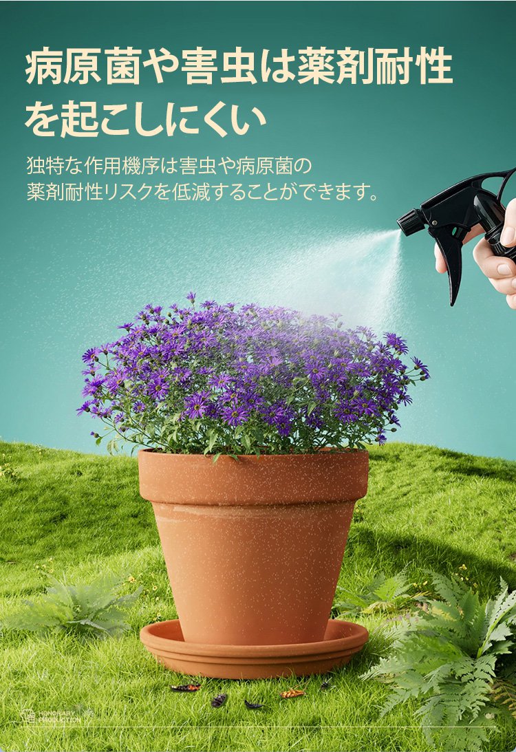 詳情頁_11.jpg