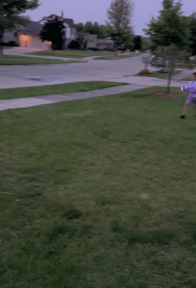 8.gif