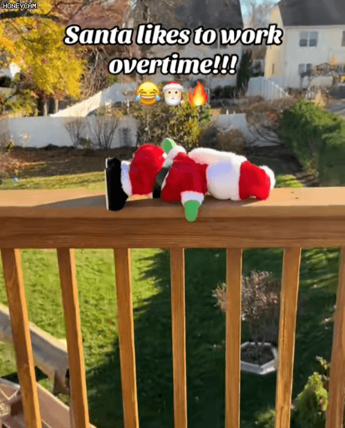 Honeycam 2025-11-29 13-45-43.gif