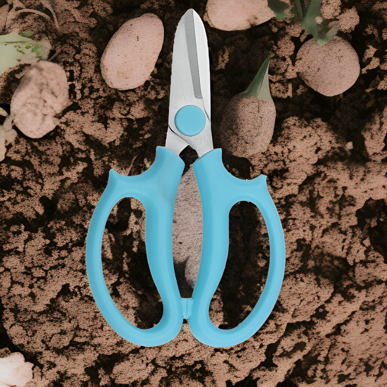 Sharp stainless steel blades of pruning scissors