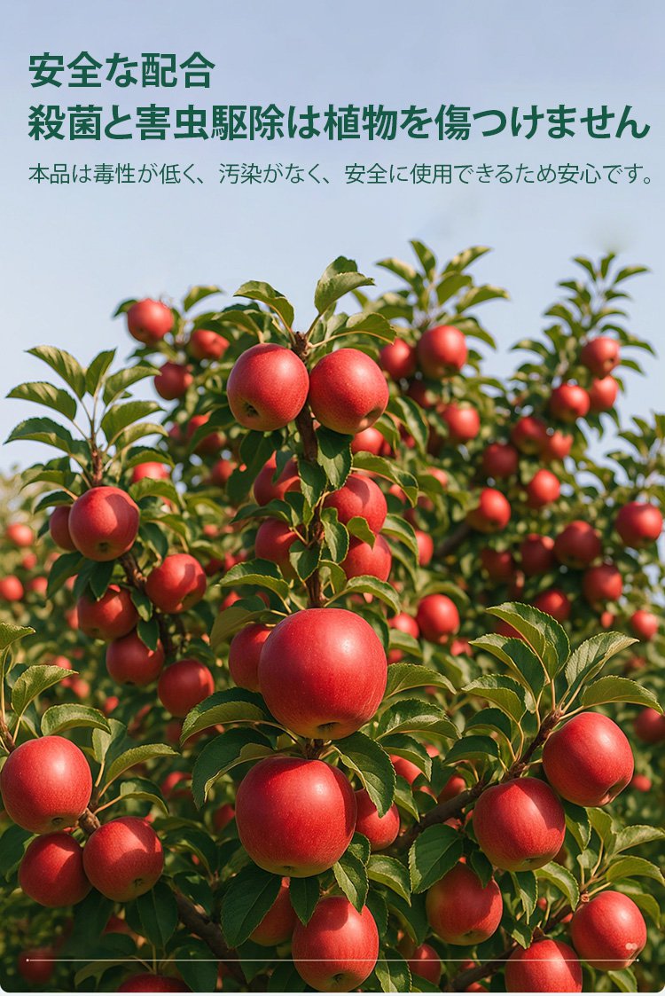 詳情頁_12.jpg