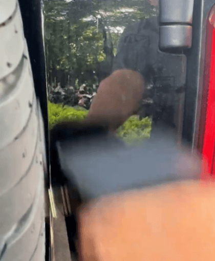 Honeycam 2026-09-01 14-26-33.gif