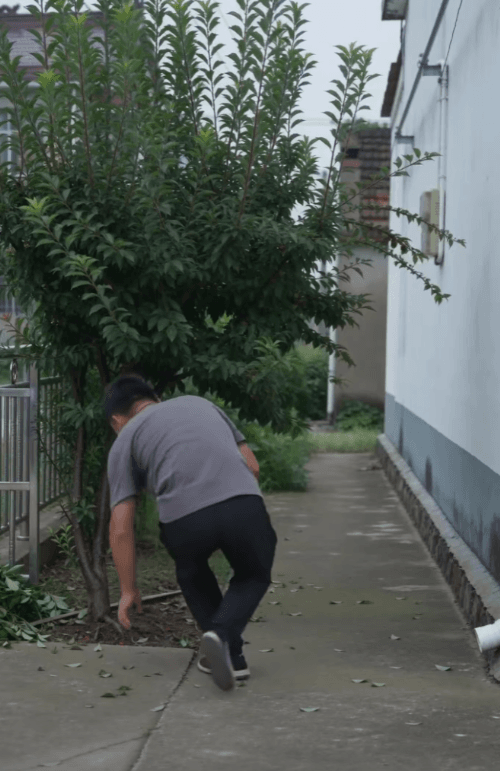 Honeycam 2026-06-03 15-22-42.gif