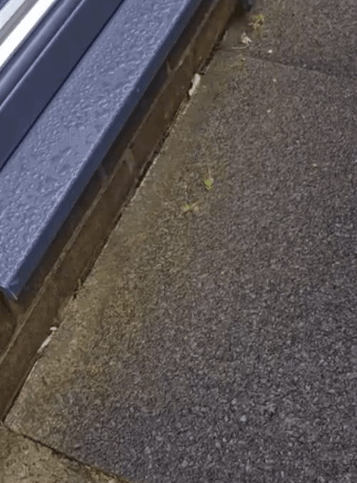 Honeycam 2026-04-30 16-29-55.gif