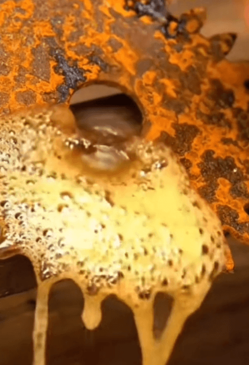 Honeycam 2026-03-30 11-12-14.gif