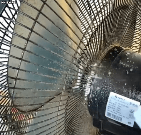 Honeycam 2026-04-17 09-51-46.gif