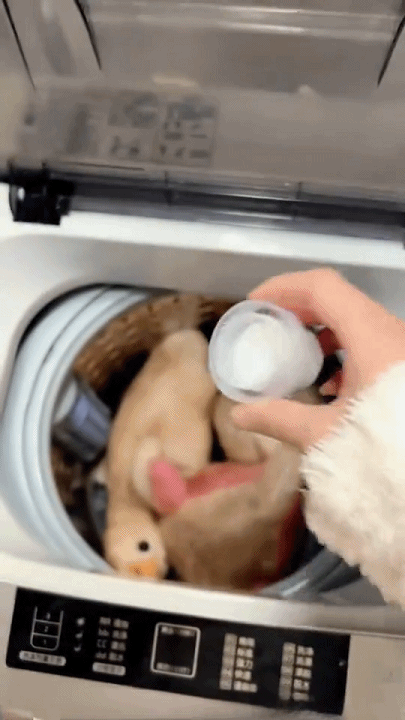 下载 (4)202662216481216.gif