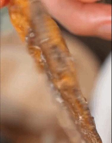 鱼干8202510301535653.gif
