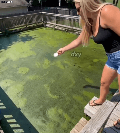 Honeycam 2026-06-03 15-08-09.gif