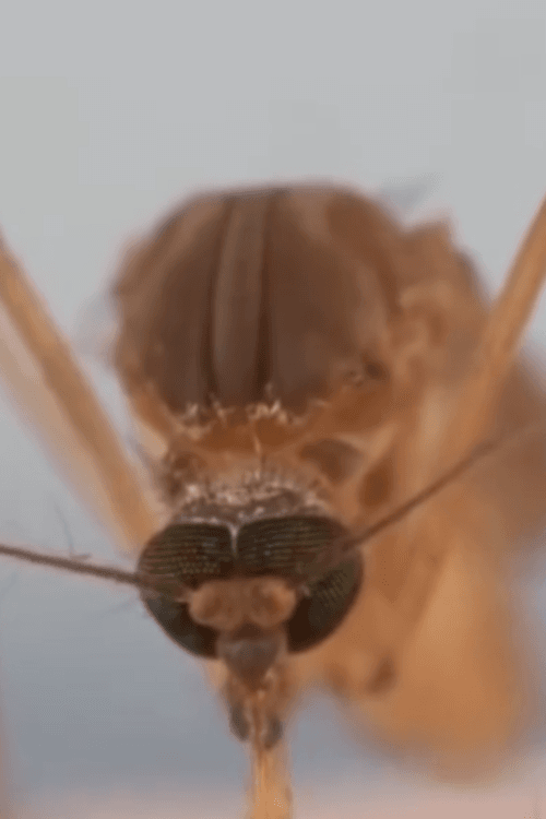 Honeycam 2026-06-05 14-23-49.gif