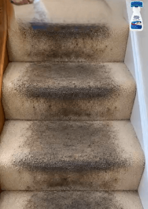 Honeycam 2026-10-08 17-09-12.gif