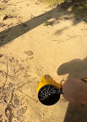 3.gif