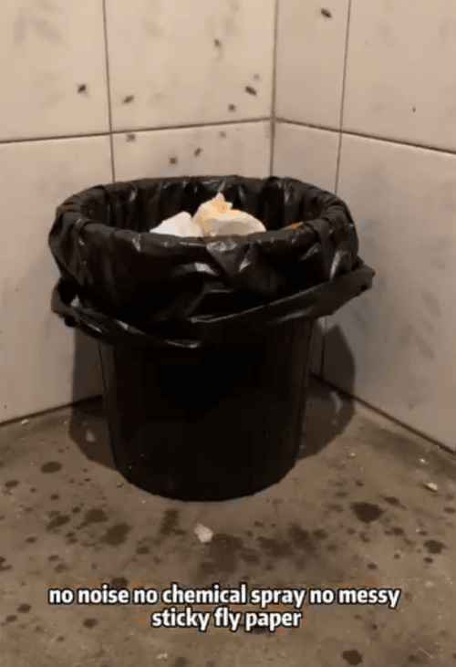 Honeycam 2026-07-16 13-48-48.gif