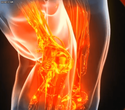 Honeycam 2025-09-19 11-40-50.gif