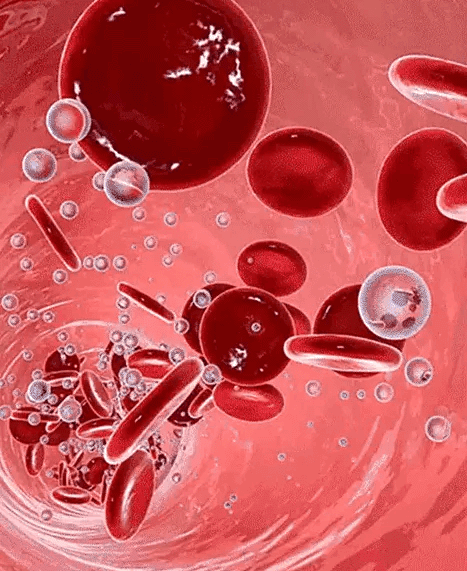 Honeycam 2026-03-06 18-17-32.gif