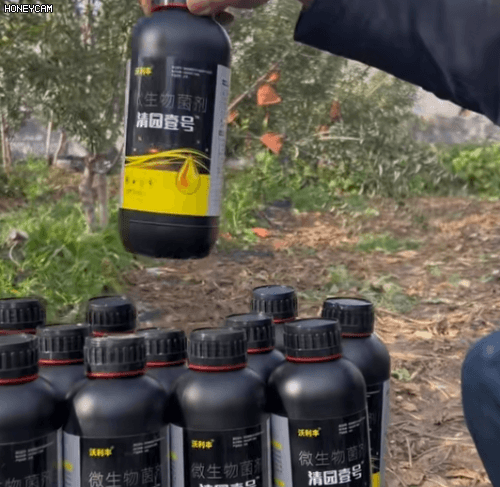 Honeycam 2025-11-17 20-55-10.gif