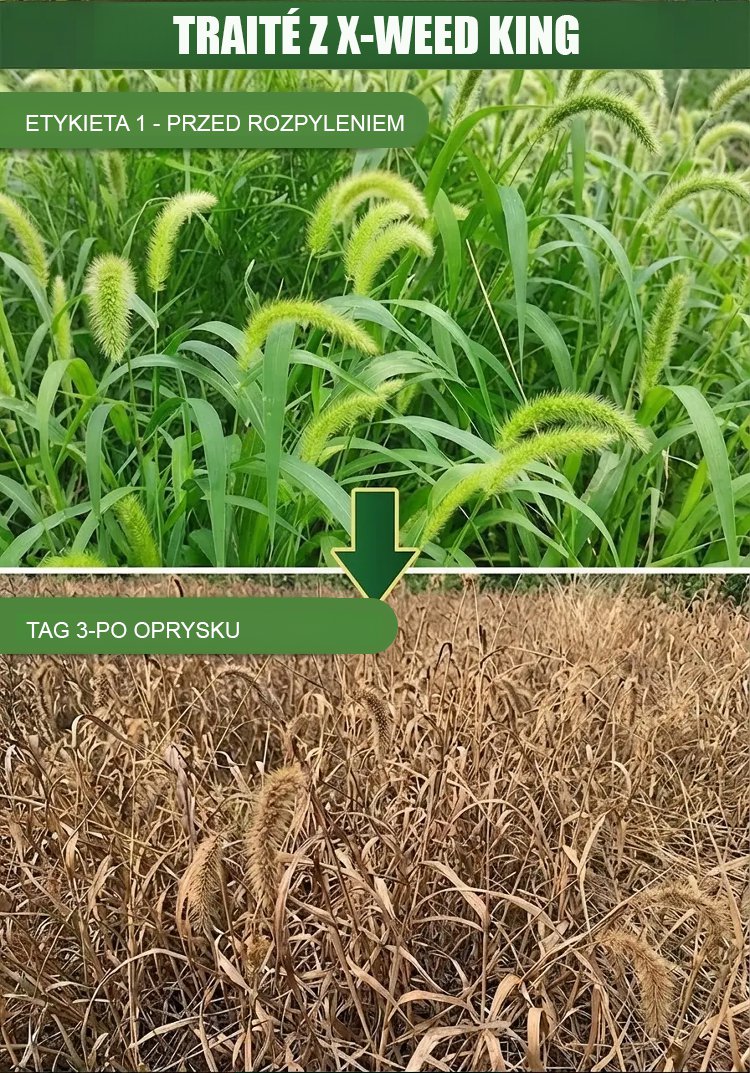 翻譯件-SL-除草爛根劑-1349739-系統-(1)_12.jpg