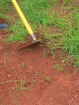 f8KWn9MZ81fQhXBSWch_343114848318_mp4_264_hd_taobao2026411651564.gif