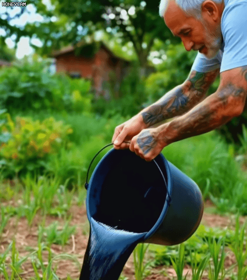 Honeycam 2026-01-20 14-52-26.gif