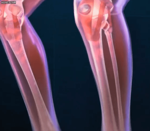 Honeycam 2025-09-19 11-39-08.gif