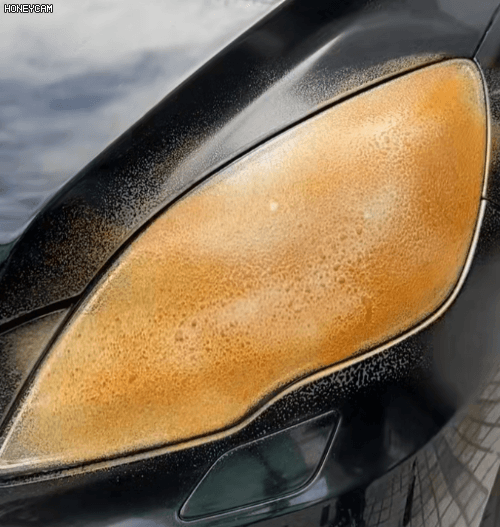 Honeycam 2025-12-10 12-33-25.gif