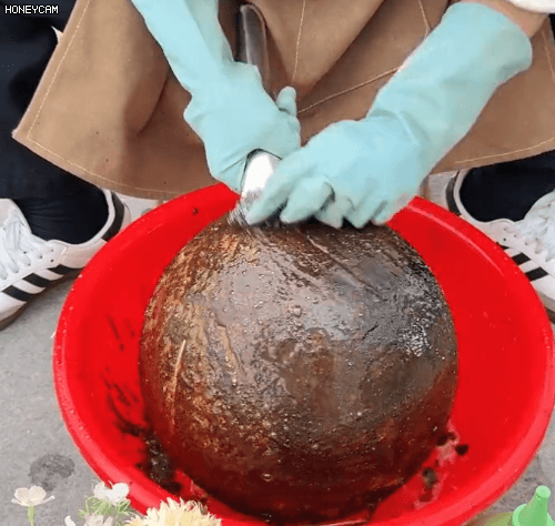 Honeycam 2025-12-18 15-26-36.gif