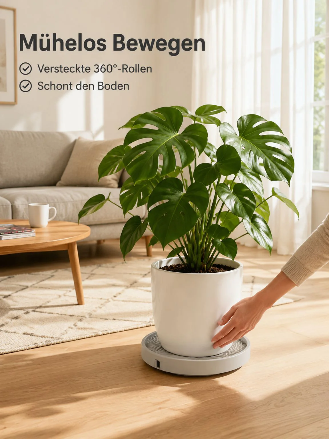 solneta.com