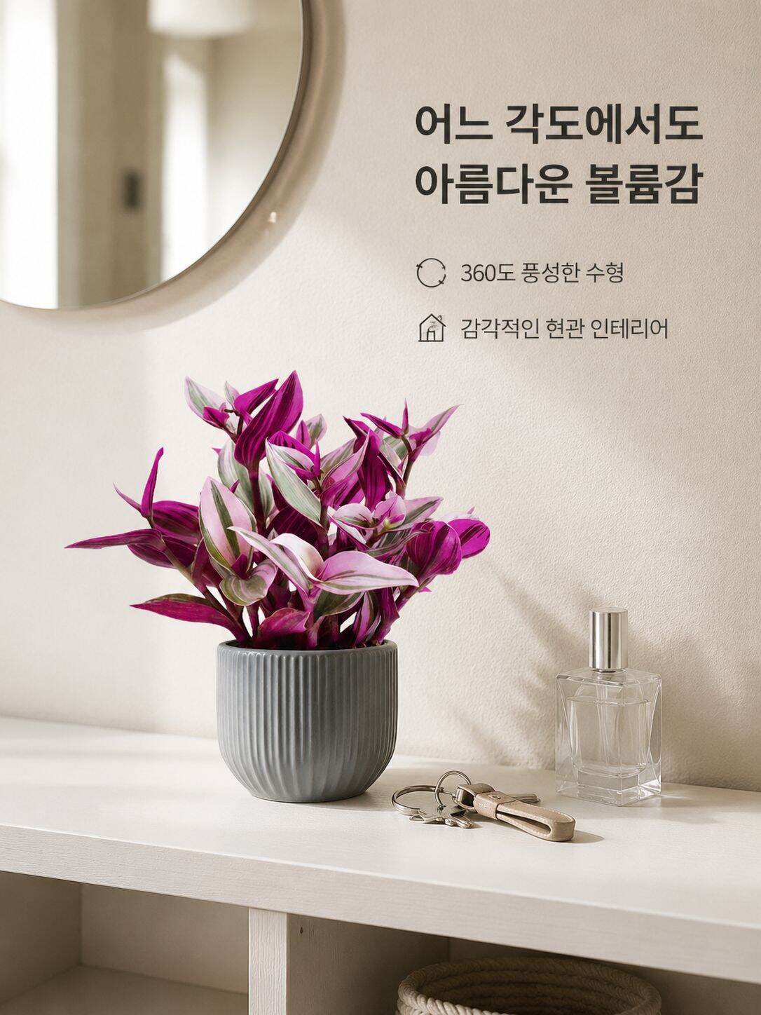 pureecove.com