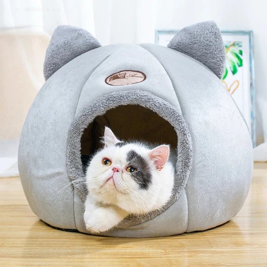 Semi-Enclosed Cat Cube