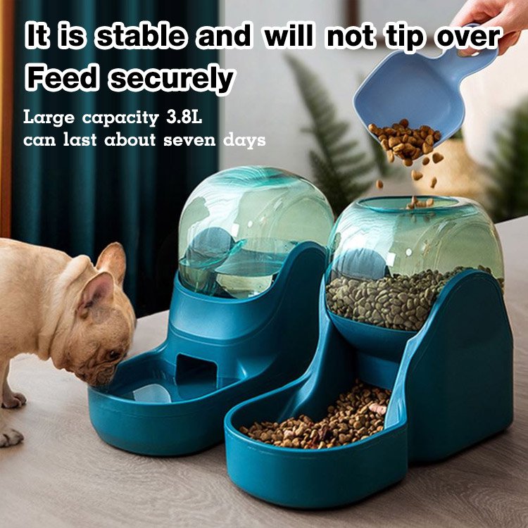 Pet Automatic Feeder and Water Dispenser