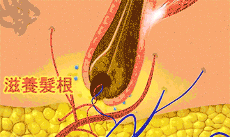 聚容防脫育髮洗髮乳 28 07a2e2c35f6c5561a927f74d62386e96147411451671005934663TW2faeac4e1eef307c2ab7b0a3821e6c667 聚容防脫育髮洗髮乳