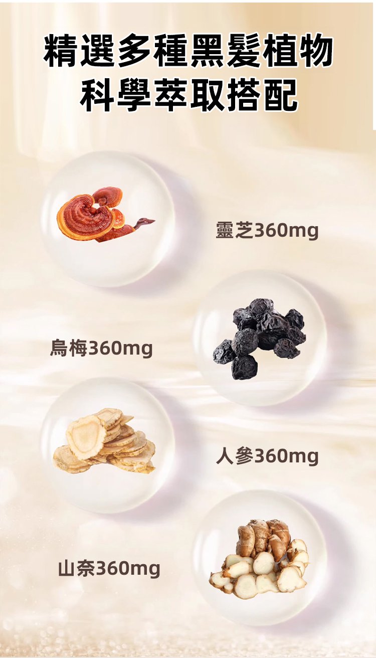 靈芝烏黑片 22 39a1df5d32c18269f4367f102a0b8e5f3297112591371009941562TW2210743b154307908b87f16d1d7556da6 靈芝烏黑片
