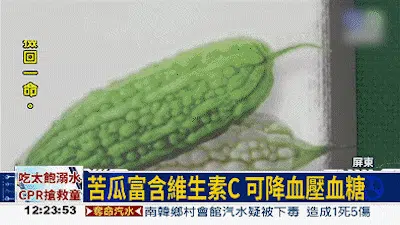 人參苦瓜蕎麥桑葉片 23 4e87a9570ff72a3c45d38352def0172663107112412511009328008TW27177ff6aafad58b0656fca6e31b41601 人參苦瓜蕎麥桑葉片