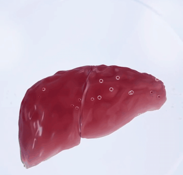 元氣四寶茶,養生四寶茶黃芪黨參西洋參麥冬獨立小包裝泡茶養生茶10包每袋 18 654df8dea9708bc5213ee5d4cbb32f3263107111627951006658215TW27177ff6aafad58b0656fca6e31b41601 元氣四寶茶