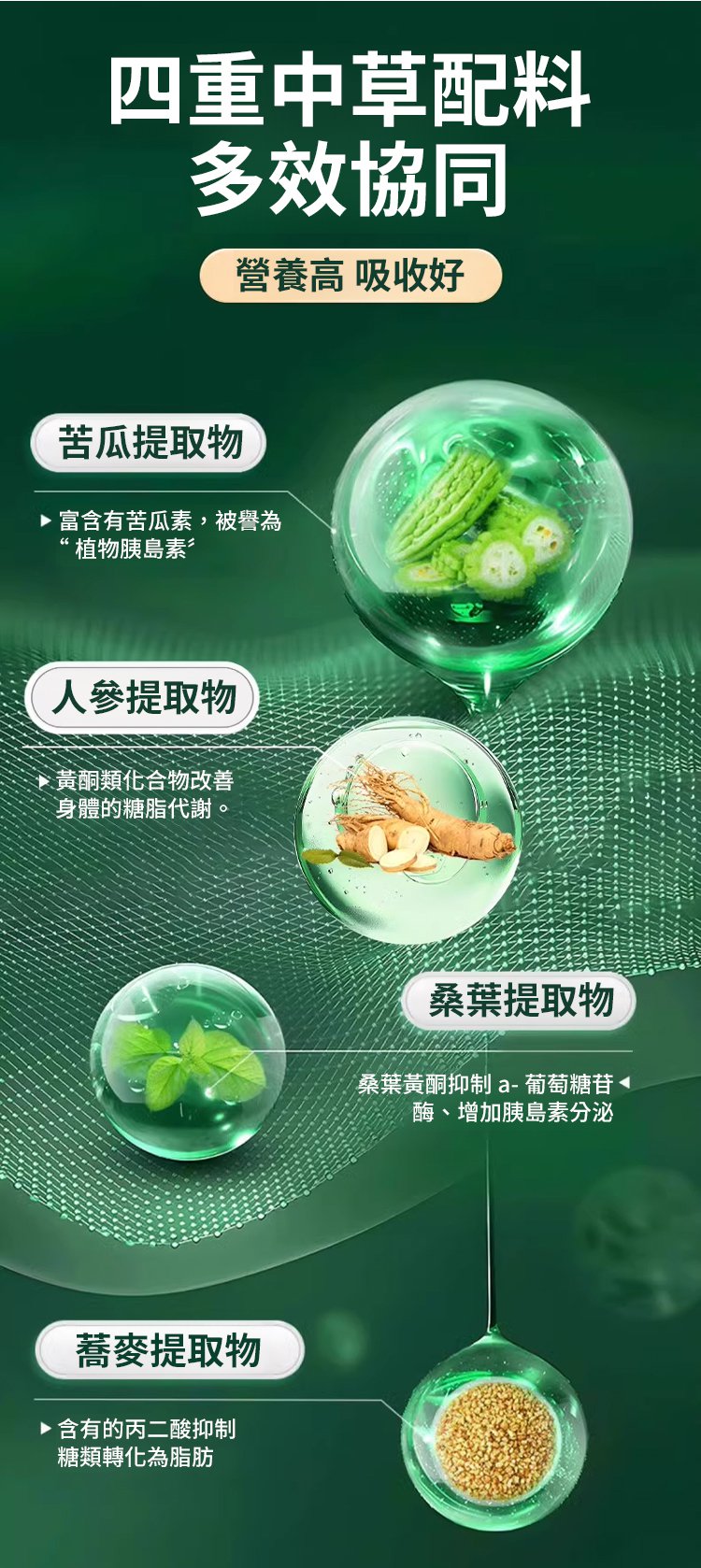 人參苦瓜蕎麥桑葉片 31 75c08f3ee5d80798844e7f7b9087de2463107112412511009328008TW2e318de089dcf578594fad92a4d07f5f8 人參苦瓜蕎麥桑葉片