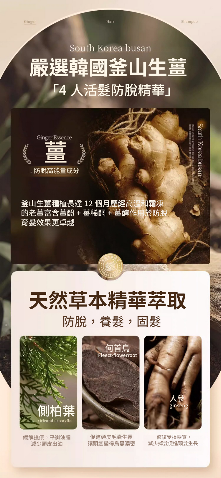 聚容防脫育髮洗髮乳 14 84a6f21d6a1009c4ee8ff70ebbcc33f9147411451671005934663TW261010d0c3d4a799efca324295ef66227 聚容防脫育髮洗髮乳