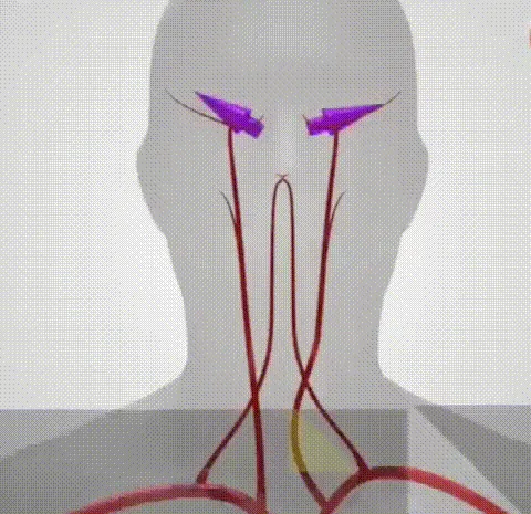 葛根苦瓜桑葉茶 葛根苦瓜桑葉茶