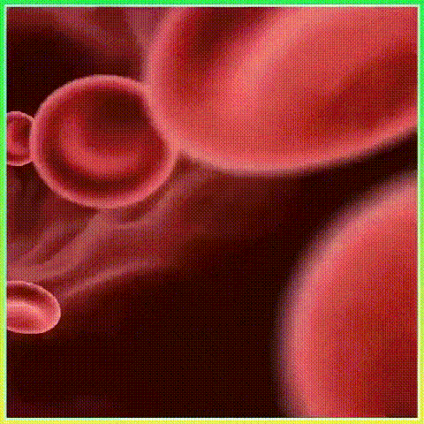 肌肉博士zma雙參鋅鎂片 肌肉博士zma雙參鋅鎂片