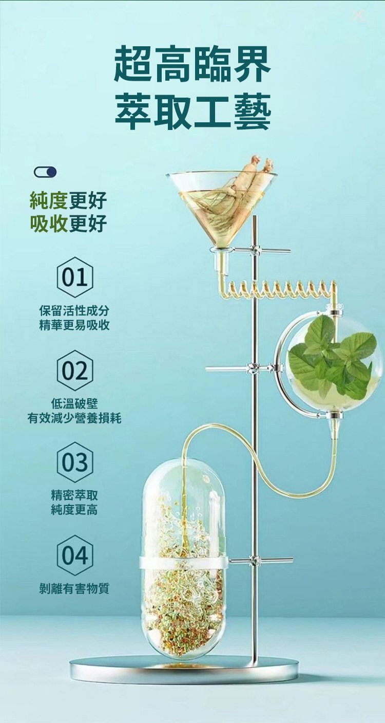 人參苦瓜蕎麥桑葉片 32 8e8530bdcce1bd85eafd25ca3205238863107112412511009328008TW23282fbcac3fe69dd9f4662941765bad7 人參苦瓜蕎麥桑葉片