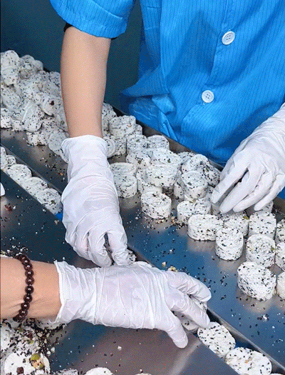 八珍糕 26 a0534b21a57c33bd6e05981d079ba46e63298211190381005401067TW22c619aeace759d994ac51784e5bcc155 八珍糕