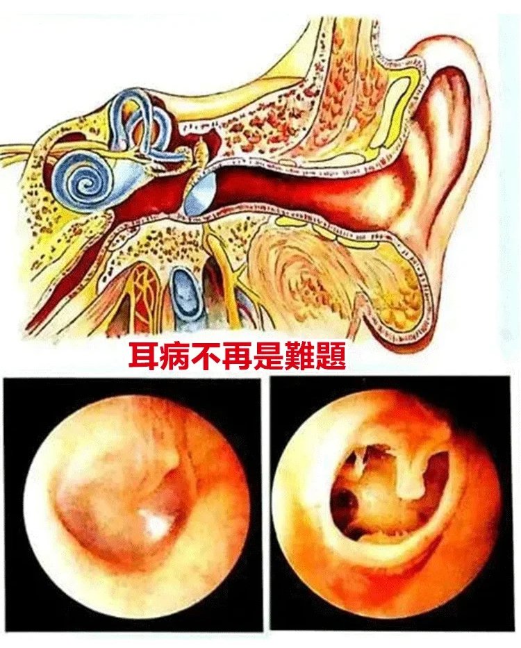 當歸靈芝杜仲葉茯苓片 16 abdabe8d17d3e88e43ed0d67cebf2f633297112529781009727463TW26ee8fec59131032efaba94811772a531 當歸靈芝杜仲葉茯苓片