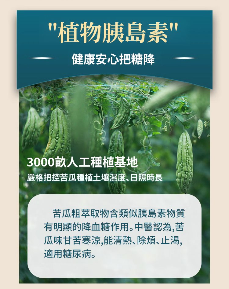 葛根苦瓜桑葉茶 葛根苦瓜桑葉茶