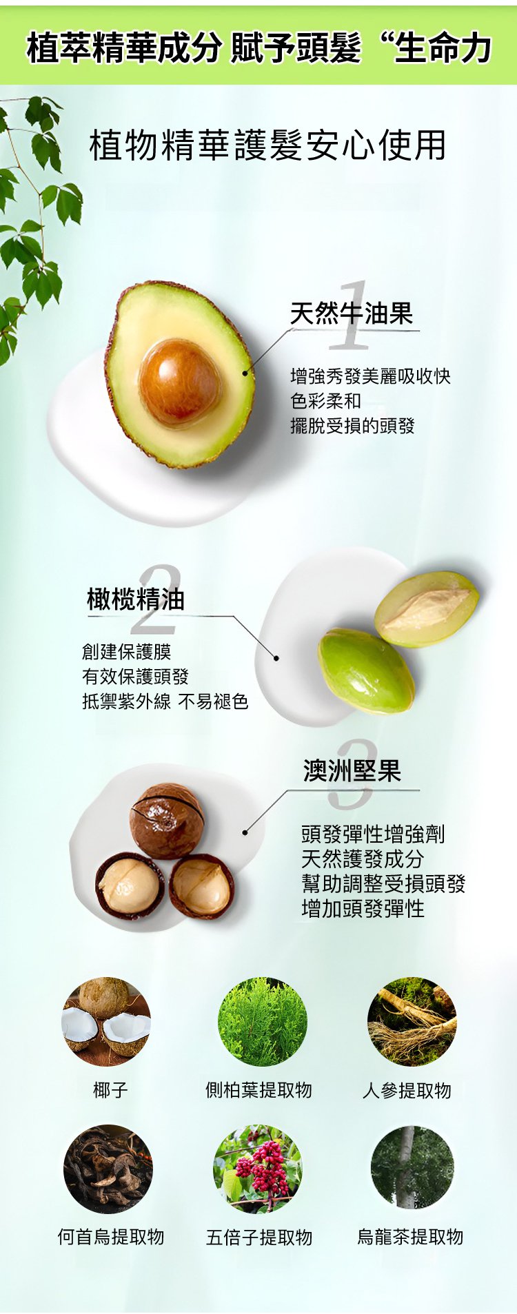 牛油果植萃染髮膏