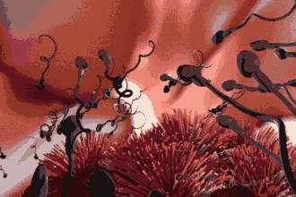 肌肉博士zma雙參鋅鎂片 肌肉博士zma雙參鋅鎂片