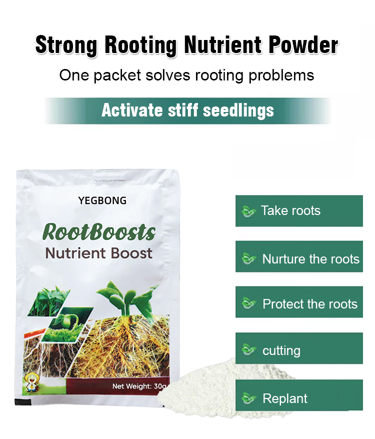 Plant Hair Root Growth Nutrition Powder